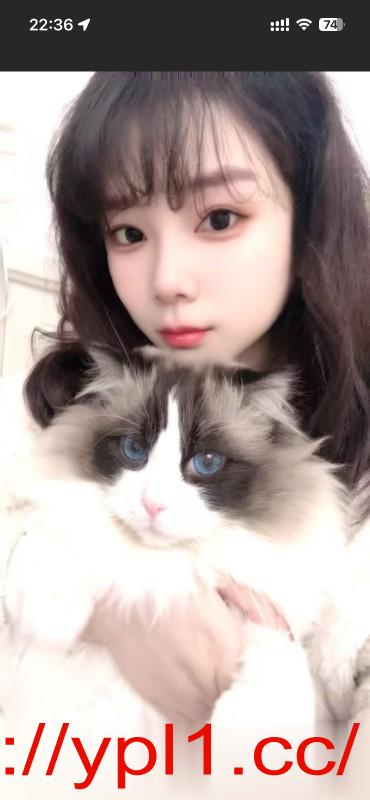 丰满姐姐不限次